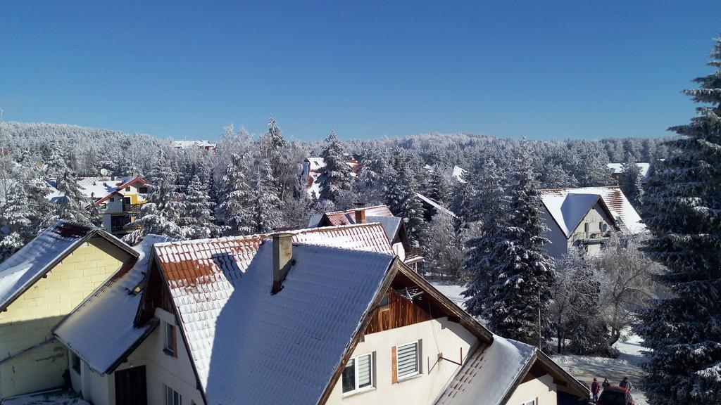 On Zlatibor